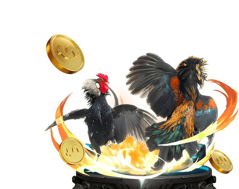 Hướng dẫn xem đá gà trực tiếp và đặt cược tại win55 casino