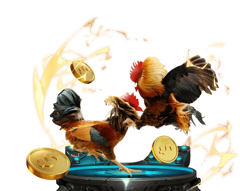 Đá Gà tại win55 Casino